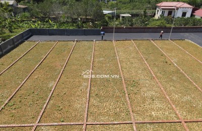 CƠ HỘI ĐÓN SÓNG ĐẦU TƯ F0 – SÁT KCN PHÚ THÀNH – CHI NÊ – HÒA BÌNH – CHỈ 600 TRIỆU